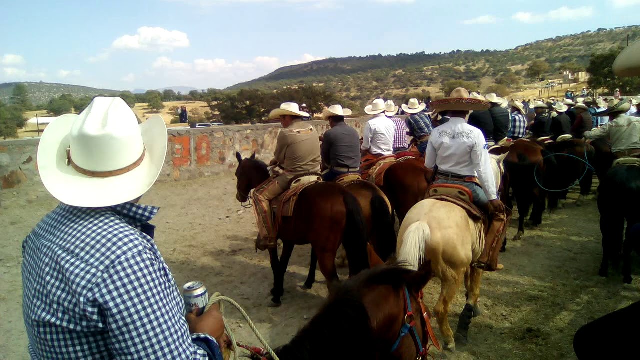 Coleadura en el mezquital durango ( laguna del chivo) - YouTube