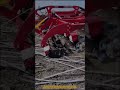 Heavy-Duty Disc Tillage Machine Performs Aggressive Soil Conditioning #machine