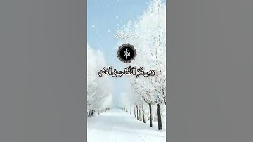 قُلْ أَعُوذُ بِرَبِّ الْفَلَقِ ⚘️سورة الفلق 🌿حالات واتس اب قرآن كريم Quran