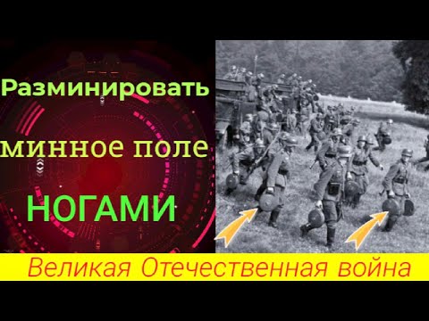 миноискатель 42 / как разминировали в 1942 году #49