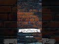 Urdu Poetry #poetry #urdupoetry #urdushayari