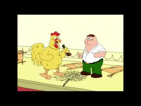 Peter Vs Chicken! Family Guy Epic Fight!!