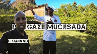 Dhagaxii Beenta Laga Sheegay Nzambani Kitui Dhamaad