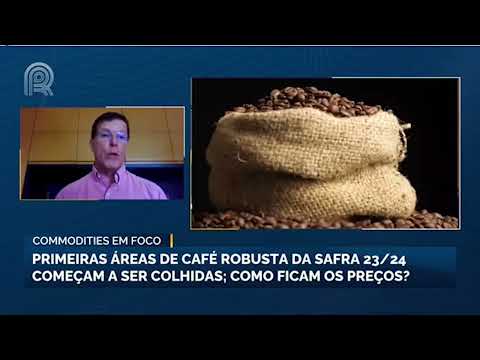 Commodities em Foco: Primeiras áreas do café robusta da safra 23/24 começam a ser colhidas