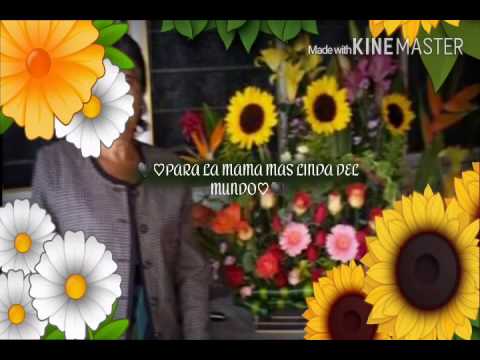 AMOR DE CADA DIA HARAGAN Y CIA PARA TI MAMITA LINDA camera iphone 8 plus apk