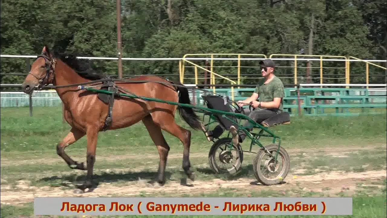 Конезавод Новотырышкино