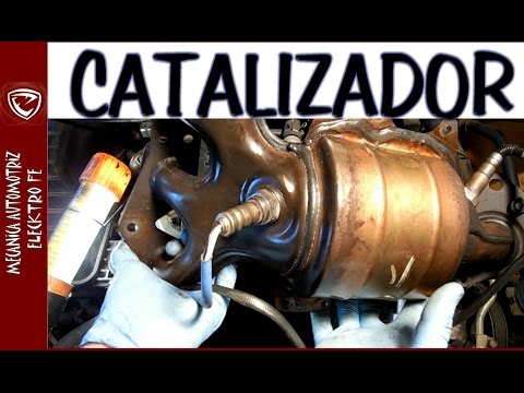 Como arreglar el olor de la gasolina del calzado