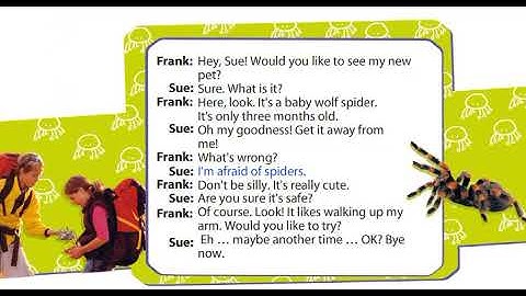 Frank and Sue (Dialogue) Excel 5 Module 7d