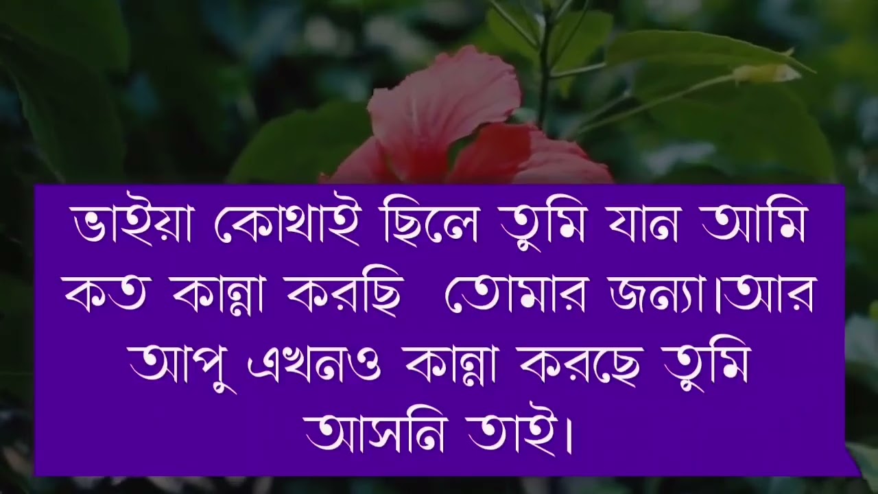 পরিবারের অভহেলা || সকল পর্ব || আশিক*সোনালিকা