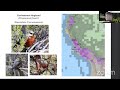 📸🌱 Avistamiento de Aves en la Región Central del Perú