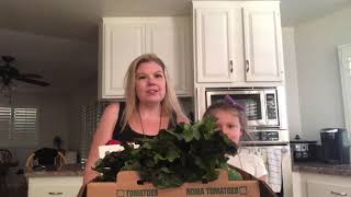 Yasukochi Family Farms CSA Unboxing