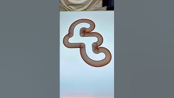 It starts simple… but ends in a magical way! #spirographshr #satisfying #asmr #art #spirograph