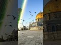 Palestine will be free Inshallah...