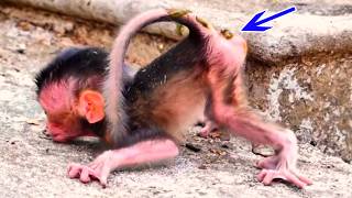 Tears Are Falling Oh My God, A Newborn Baby Has Been Abandoned By Its Mother