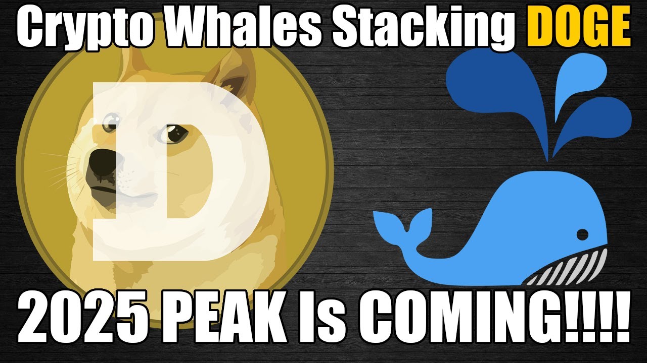 300 Million DOGECOIN Stacked! - Crypto Whales Betting On DOGECOIN!!