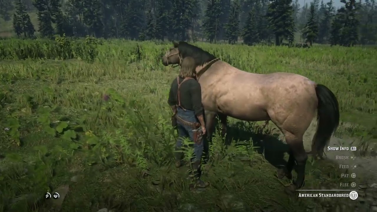 Still looking for the wild blue Nokota Red Dead Redemption 2