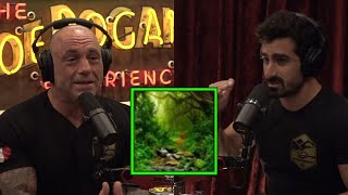 Paul Rosolie Tells Joe Rogan About His Journey To The Amazon Rainforest!