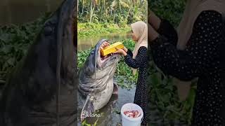 Snakes That Guard Haunted Places shotrs comedy funny