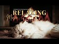 Sleep Music with Fireplace and Slow Piano | No Talking