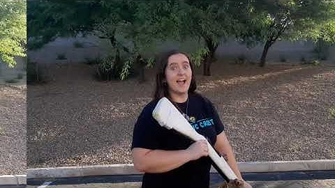 How to Colorguard: Single and Double Turns (under tosses)