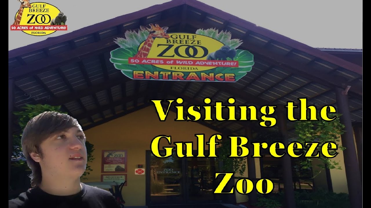 Visiting the Gulf Breeze Zoo YouTube