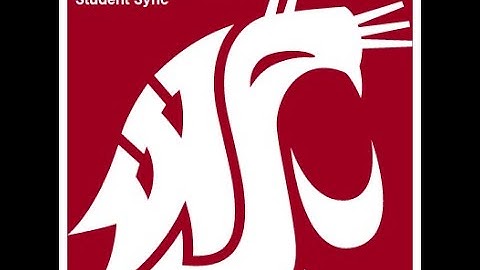 WSU Capstone Project  Final Presentation