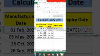 How to Auto Calculate Expiry Dates in Excel EDATE Function #excel #advanced