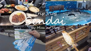 【Trip Vlog】1泊2日で仙台旅行を楽しんだGWの様子🥳グルメも観光もギュッと満喫🍖🚢 牛タン/松島/うみの杜水族館🐬