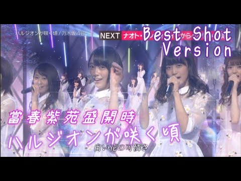 乃木坂46 ハルジオンが咲く頃 [Tear Best Shot Version]