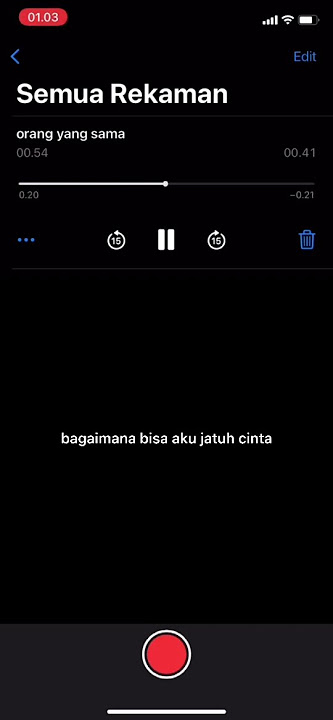 Orang Yang Sama - Virgoun (cover) | Story Wa ❤❤ #laguindonesia #cover #storywa #status