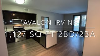 Avalon Irvine - Phase II 1,127 Sq Ft Two Bedroom - Two Bath Apartment (B14)
