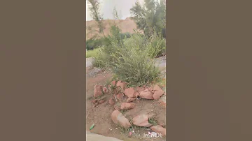 بوتغرار ايمكون 
