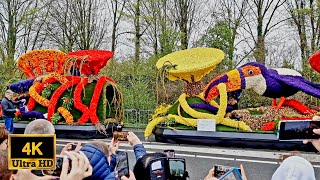 Flower parade keukenhof 2023 | Netherlands | Bloemencorso van de Bollenstreek | Tulip Festival