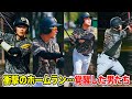 天晴の衝撃ホームラン８連発SP！2019年…覚醒した男たち。