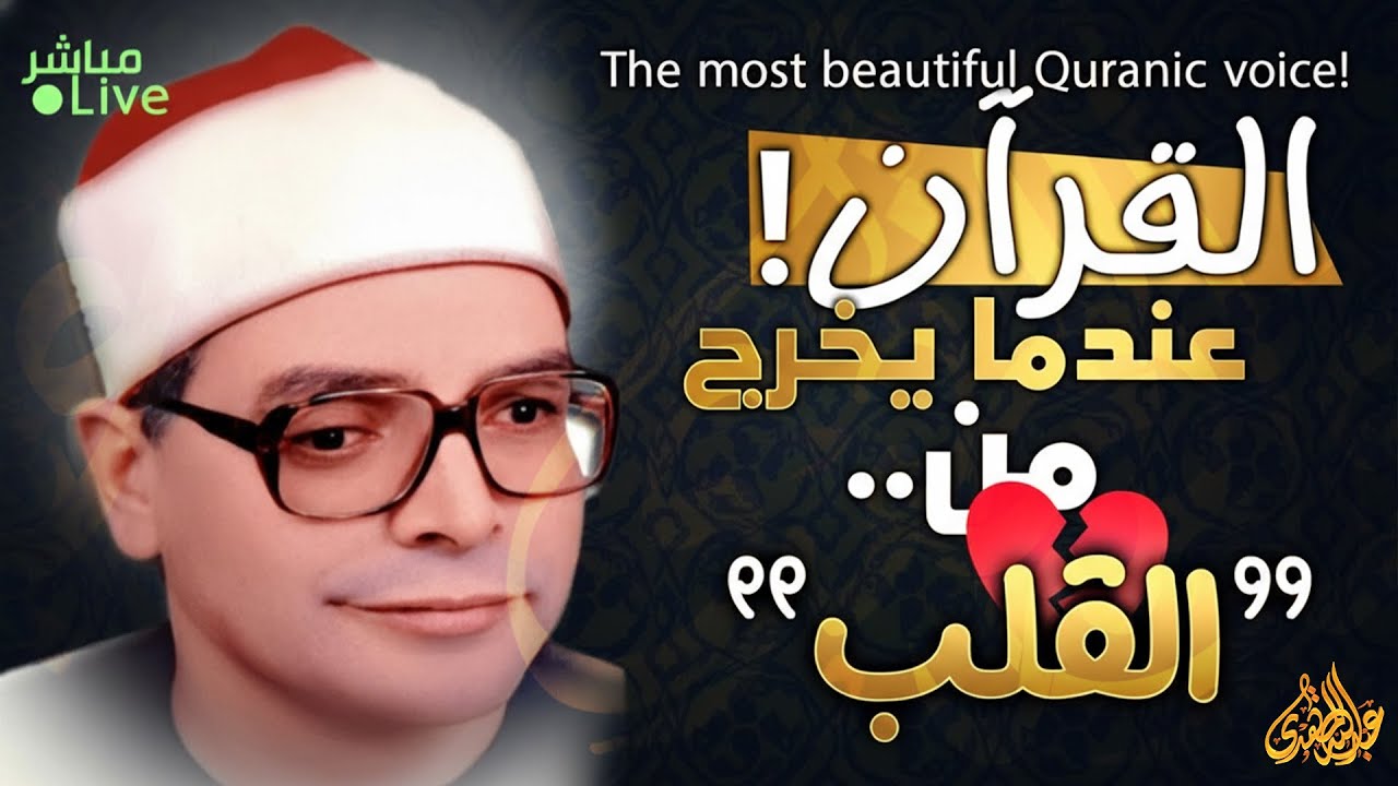 تدبر هادئ لكل آية في تلاوة مميزة 🌿 تنير العقل ✨ | Reflective Quran Tilawah