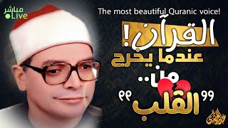 تدبر هادئ لكل آية في تلاوة مميزة 🌿 تنير العقل ✨ | Reflective Quran Tilawah screenshot 3