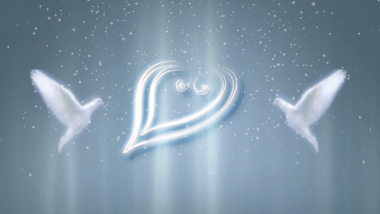 Hearts & Doves - Wedding Background Video For After Effects 2018