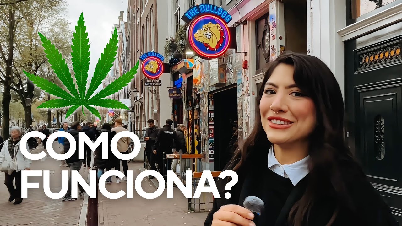 COFFESHOPS E O TURISMO CANÁBICO EM AMSTERDAM 🇳🇱
