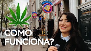 COFFEE SHOPS AND CANNABIS TOURISM IN AMSTERDAM 🇳🇱