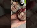 Готовим обалденные рулеты из скумбрии #рецепт #готовимподомашнему #рецепты #новыйрецепт