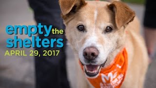 Empty The Shelters-Michigan