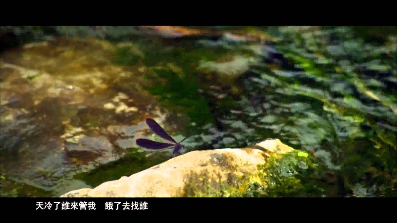 孤兒淚 - Gu Er Lei