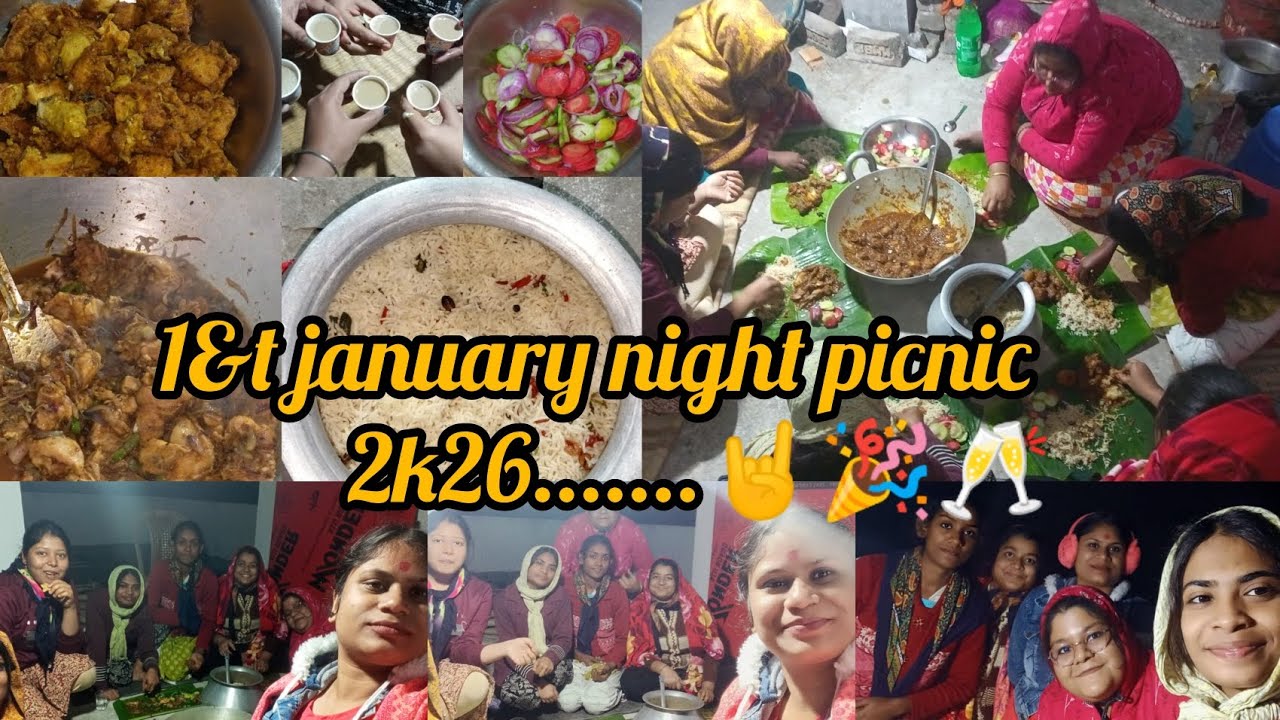 নতুন বছরের  সন্ধ্যায় বান্ধবীদের সঙ্গে জমিয়ে আড্ডা তার সাথে পিকনিক করলাম