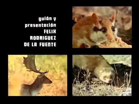 El Hombre y la Tierra -intro HD