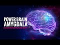 Power Brain Amygdala | Control Negative Emotion | Ease Brain from Fear & Worry | Amygdala Meditation