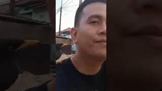 Free Fly Cici Kiko Si Jalak Jalan Sore