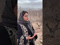 تجربه کشاورزان رو حتما بخونید داخل کامنت هاتجربه خودتون رو برای اطلاع رسانی حتمااا کامنت کامنت کنید