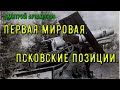 Мир крепостей: первые фортоведческие чтения. Ч 1. Дмитрий Артамонов. Псковские позиции 1915-1918 гг.