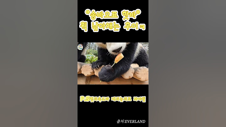 '송바오표 핫바'야무지게 낚아채서 순삭하는 쌍둥바오들~♡   #panda #cute #루이바오 #후이바오 #아이바오