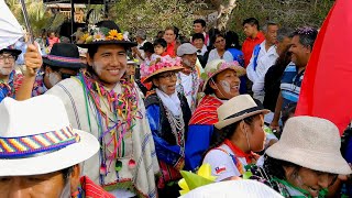 CHIAPA- ANATA ARICA 2019